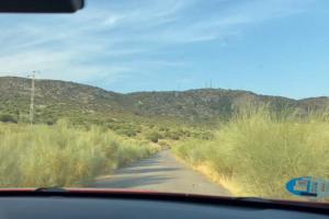 ¿Qué pasa si chocas contra un jabalí u otro animal? Así puede responder tu seguro